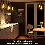 Sengled Zigbee Smart Bulb, Smart Hub Required, Work with SmartThings and Echo with Built-in Hub, Voice Control with Alexa and Google Home, Amber Warm 2000K Smart Edison Bulbs, 60W Equivalent 1 Pack