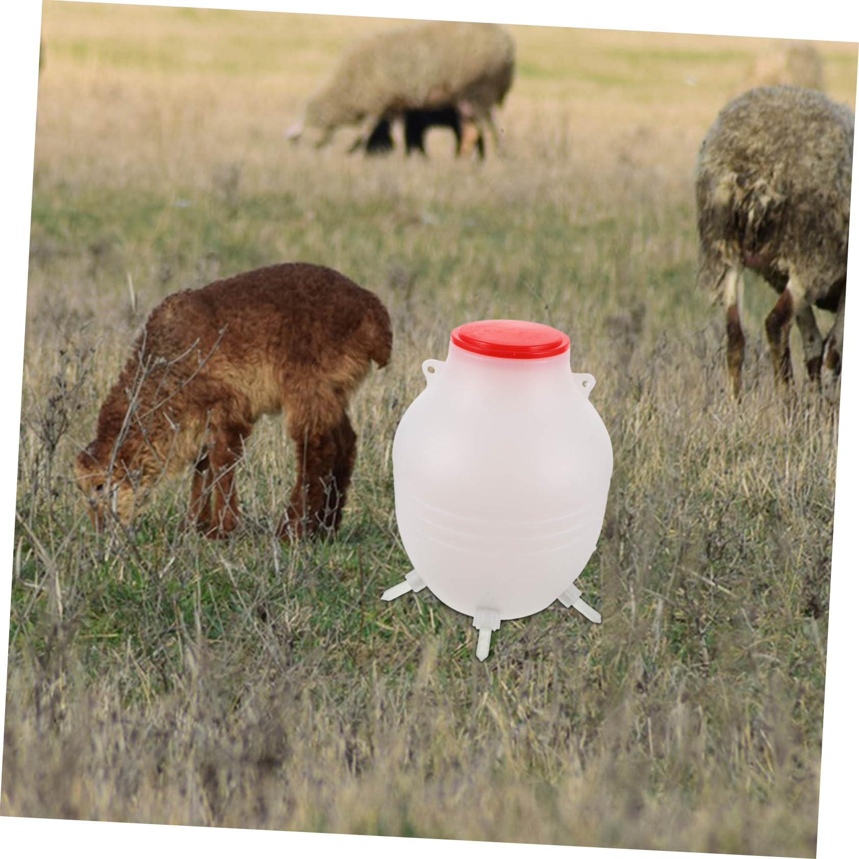Biberon per Agnelli Lattazione Veterinario 1 Pz Plastico Bianco | Pecore e Allevamenti, Alimentazione Rapida, Imitazione della Suzione Naturale, Facile da Riporre