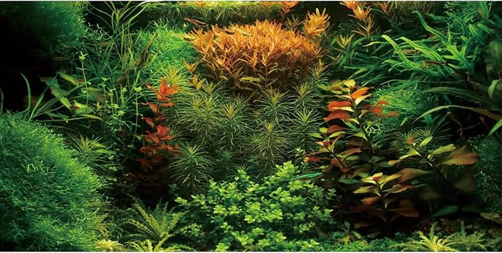 AWERT 48x18 inches Aquarium Background Seagrass Aquarium Background Aquatic Plant River Bed & Lake Fish Tank Background Vinyl Background