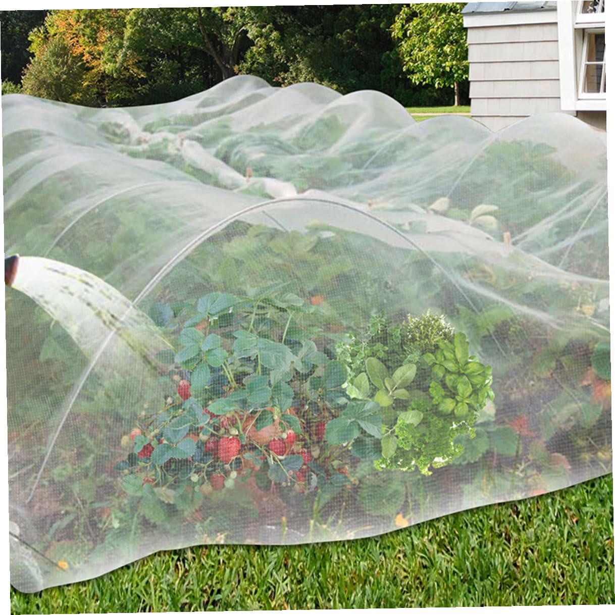 Malla Fina para Jardín Protección Plantas Frutas Verduras contra Pájaros y Animales Daños Cubierta Ligera y Recortable para Cultivo Saludable
