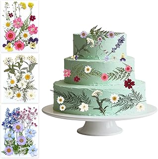 Dried Pressed Flowers, Natural Dried Flower Set, 49 PCS Decorative Mixed...