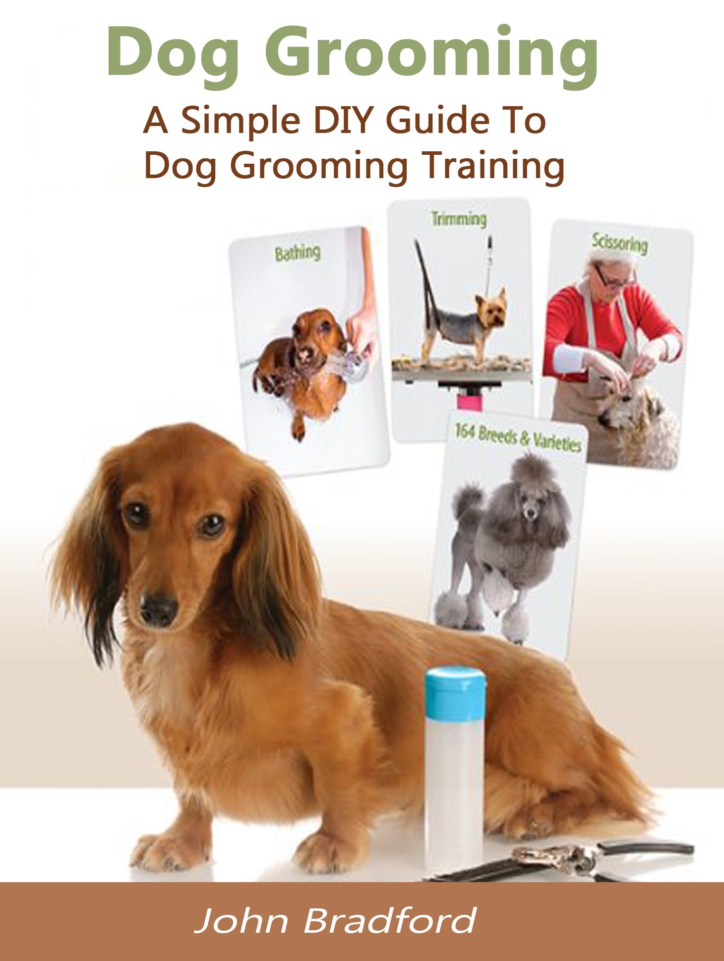 Buy Dog Grooming Guide A Simple DIY Guide to Dog Grooming Training