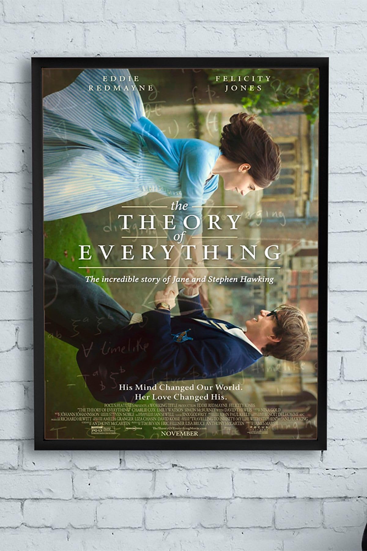 Postermanya (pster13539) Theory Of Everything Bilimsel Çerçeveli Tablo (40x50cm)