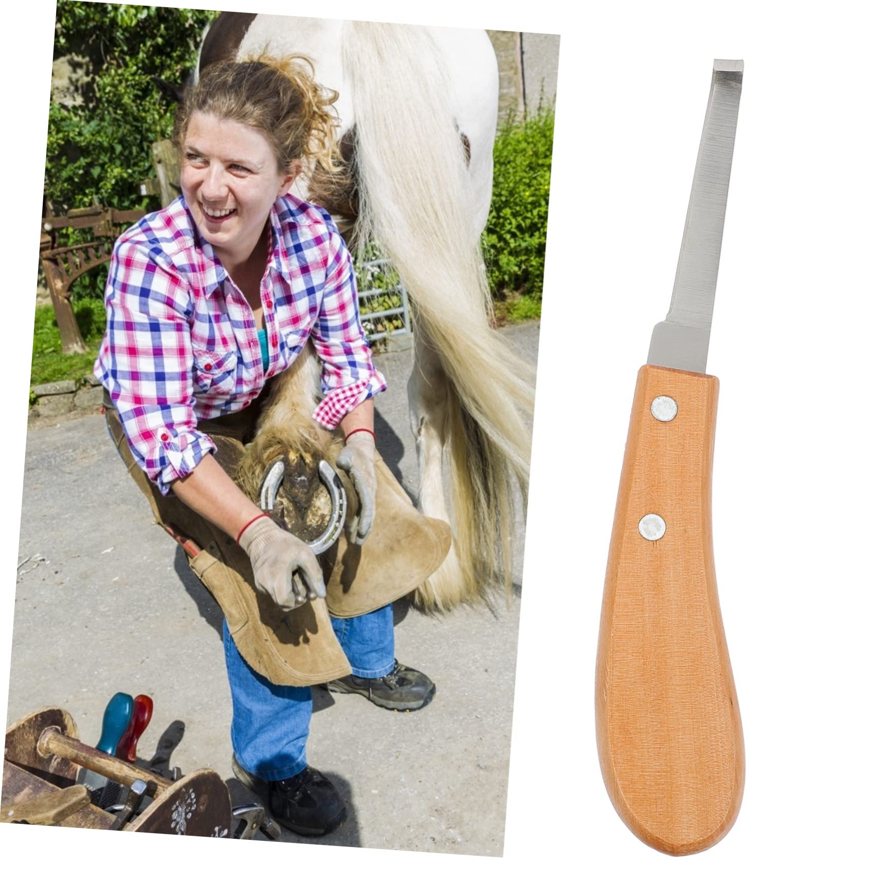 3stücke Hufpflege Werkzeug Aus Edelstahl Hufschneider Mit Holzgriff Für Pferde Rinder Schafe Und Ziegen Leicht Und Langlebig Präzise Huftrimmung Für Gleichmäßige Kanten Und
