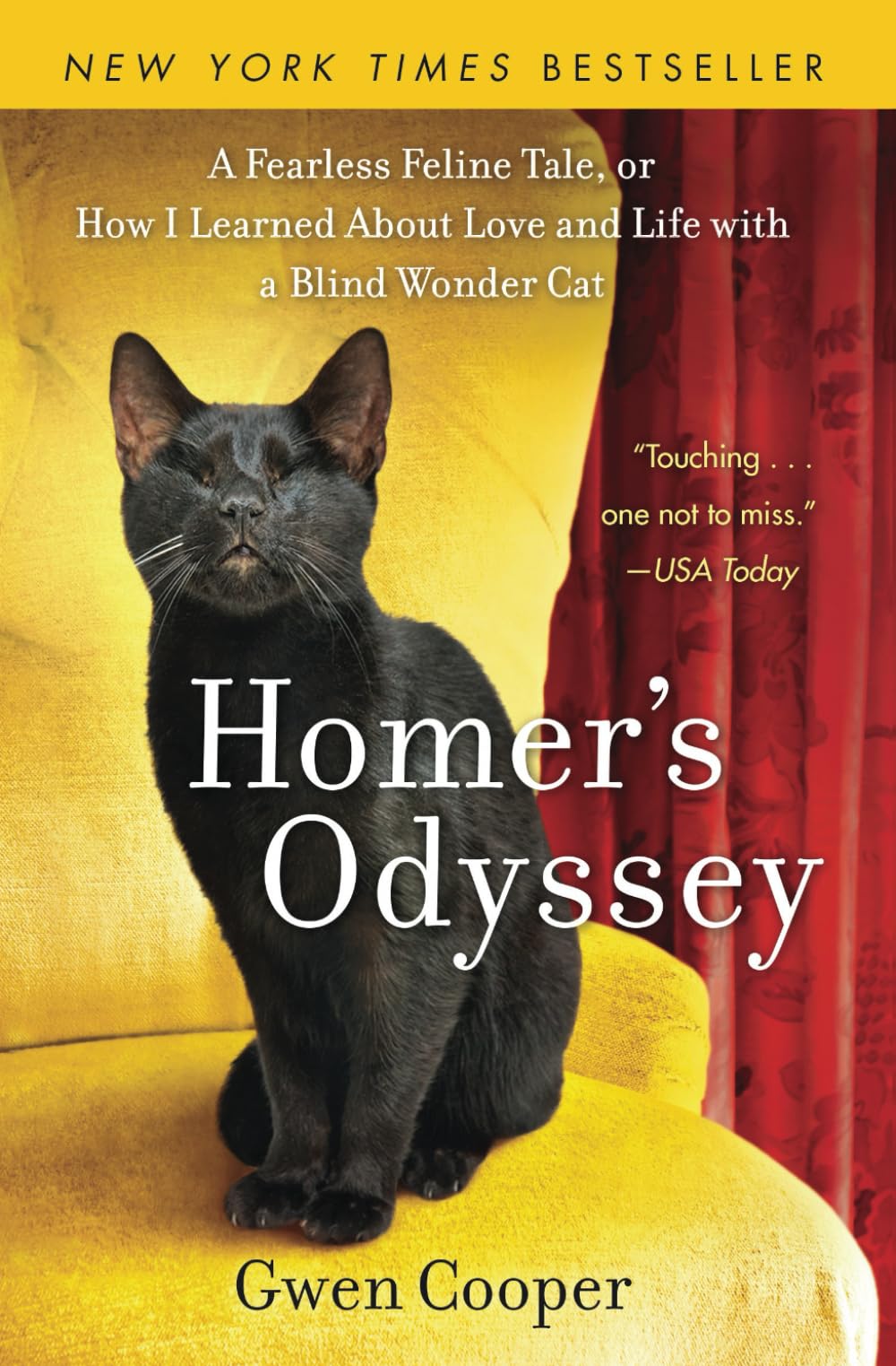 Homer's Odyssey NEW EDITION: A Fearless Feline Tale, or How I Learned About Love and Life with a Blind Wonder Cat (The adventures of Homer!)