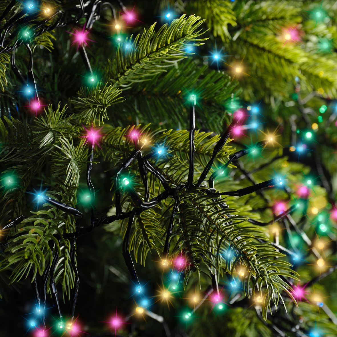 Lumineo Catena luminosa Cluster Twinkle – 1128 LED – Colorato – 10 metri – Cavo nero – Adatto per interni ed esterni – Dimmerabile – Timer – 8 funzioni di luce – IP44