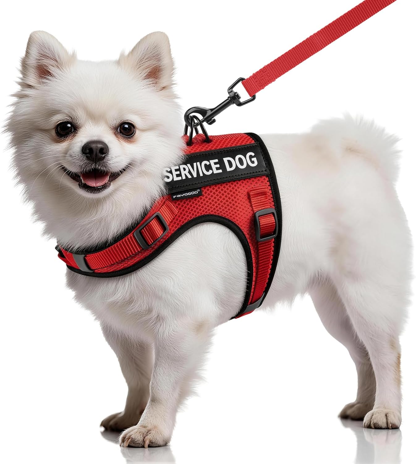 FAYOGOO Service Dog Vest for Small Dogs - Air Mesh Breathble Emotional Support Animal Vest with Velcro Patches - Puppy Harness and Leash Set Adjustable Neck and Chest
