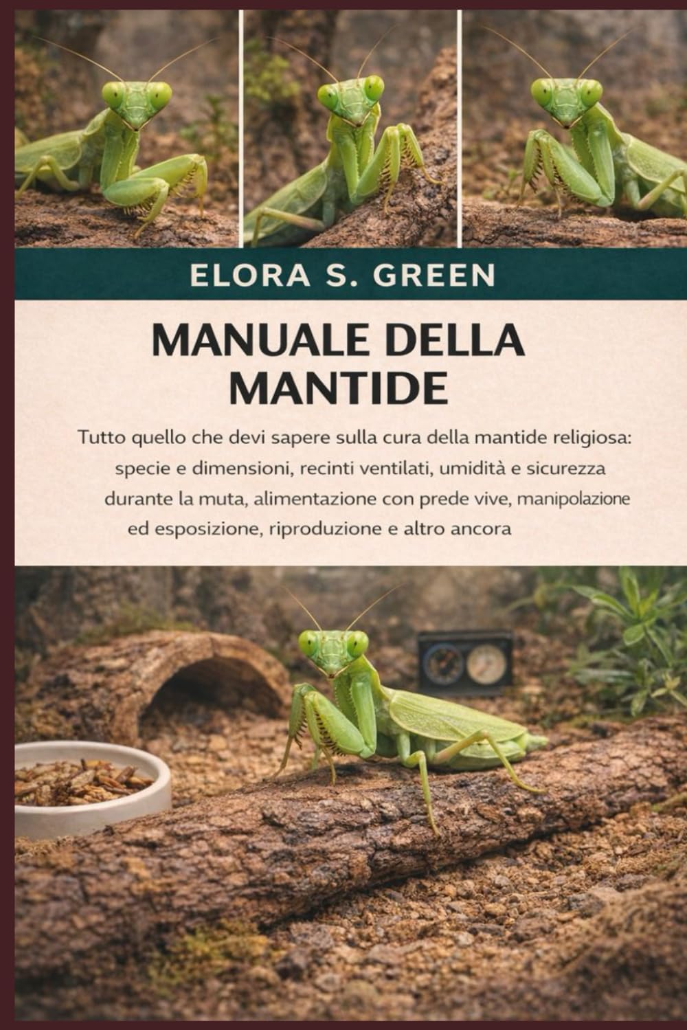 MANUALE DELLA MANTIDE: Tutto quello che devi sapere sulla cura della mantide religiosa: specie e dimensioni, recinti ventilati, umidità e sicurezza ... ed esposizione, riproduzione e altro ancora