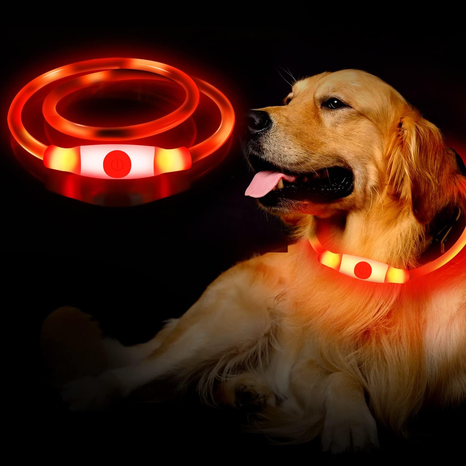 TDL LED-Hundehalsband Wasserdicht & Wiederaufladbar – Für Sichere Spaziergänge Bei Dunkelheit | 3 Modi, Lange Leuchtdauer, Größen S/M