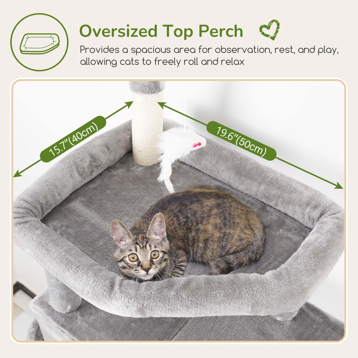 Cat resting on the oversized top perch of the cat tree