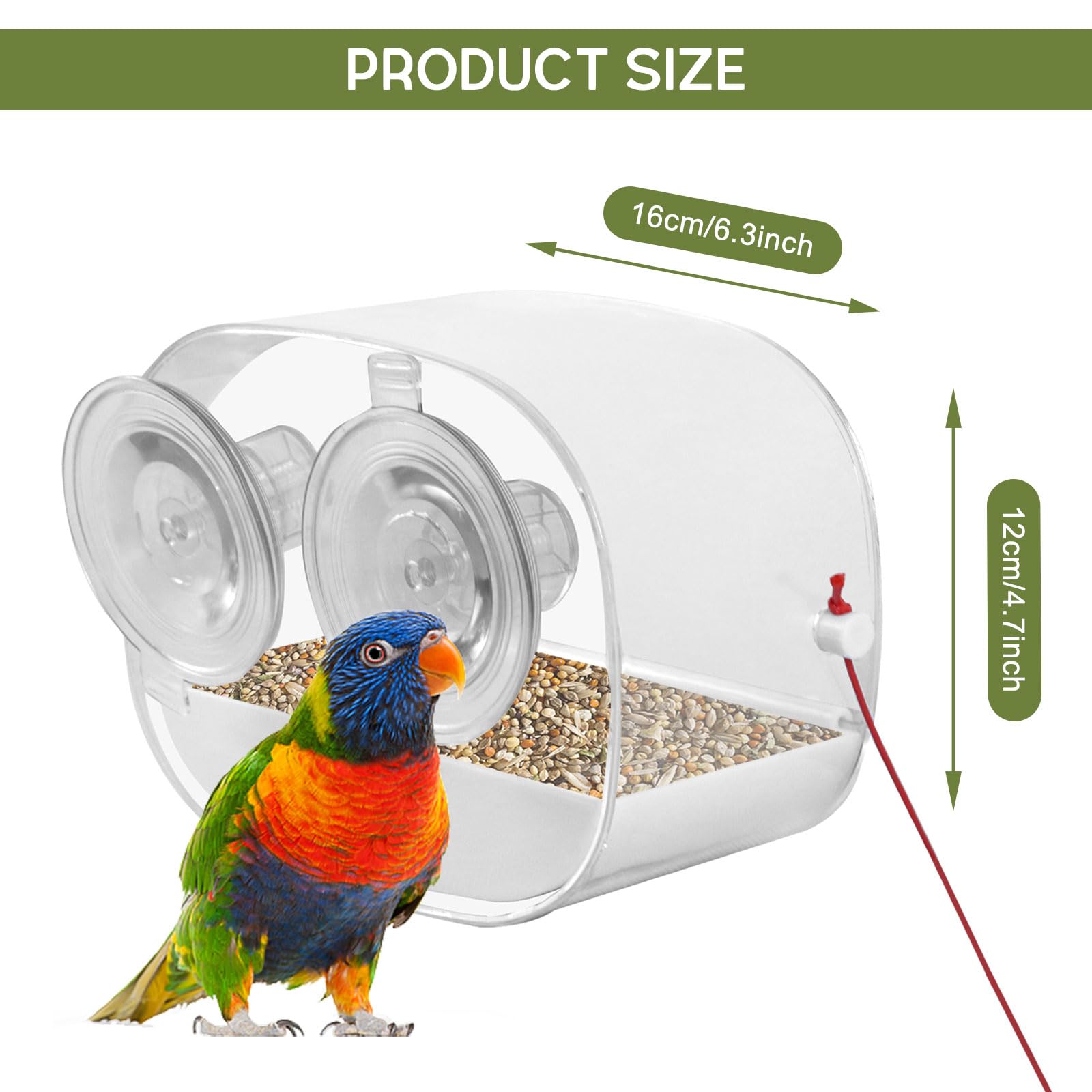 SuoXing Vogelfutterstation Mit Saugnäpfen – Transparent, Mit Futter- & Wasserfach, Für Fenster, Garten & Vogelbeobachtung
