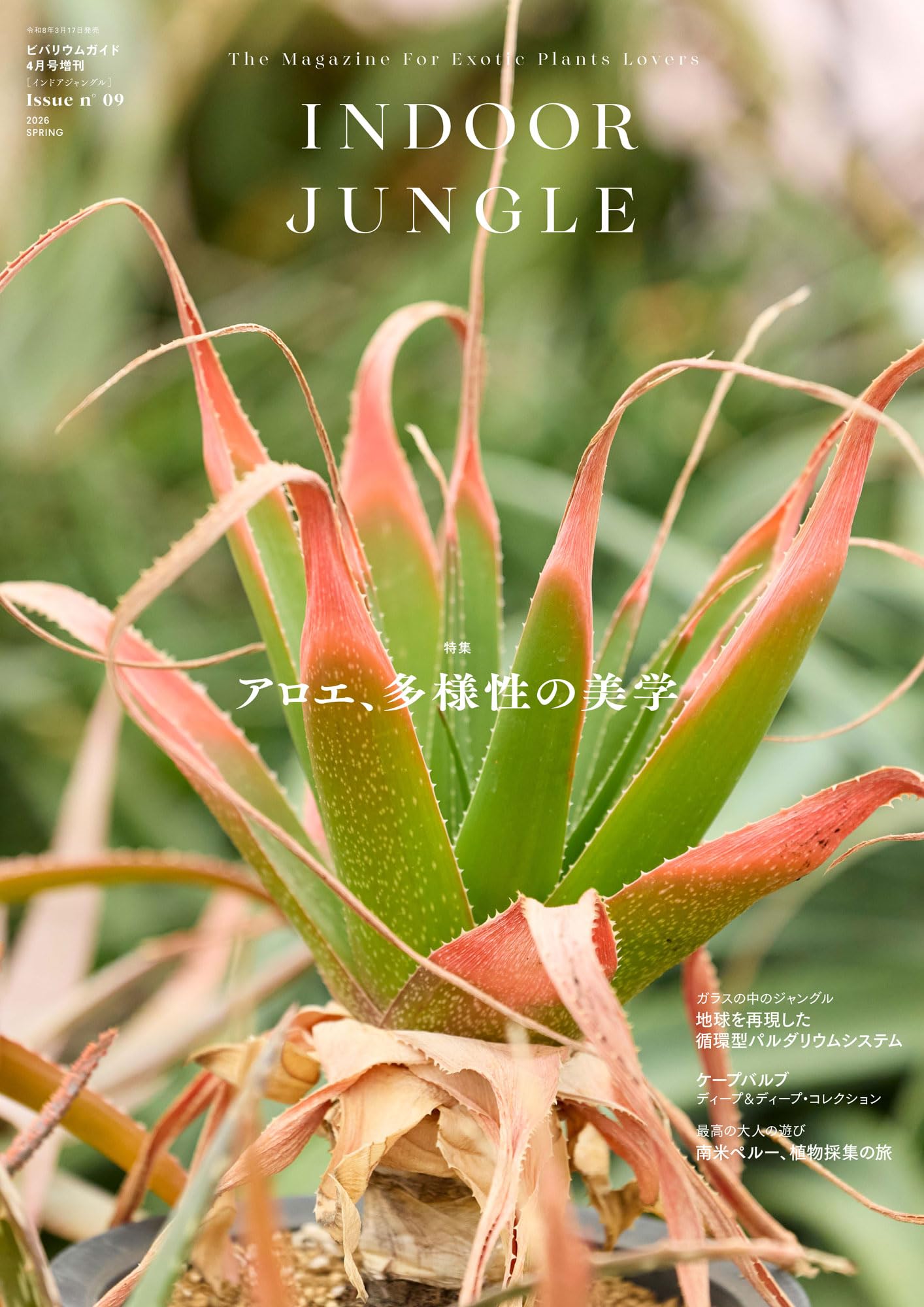 INDOOR JUNGLE（インドアジャングル） 09 2026年 04 月号 アロエ、多様
