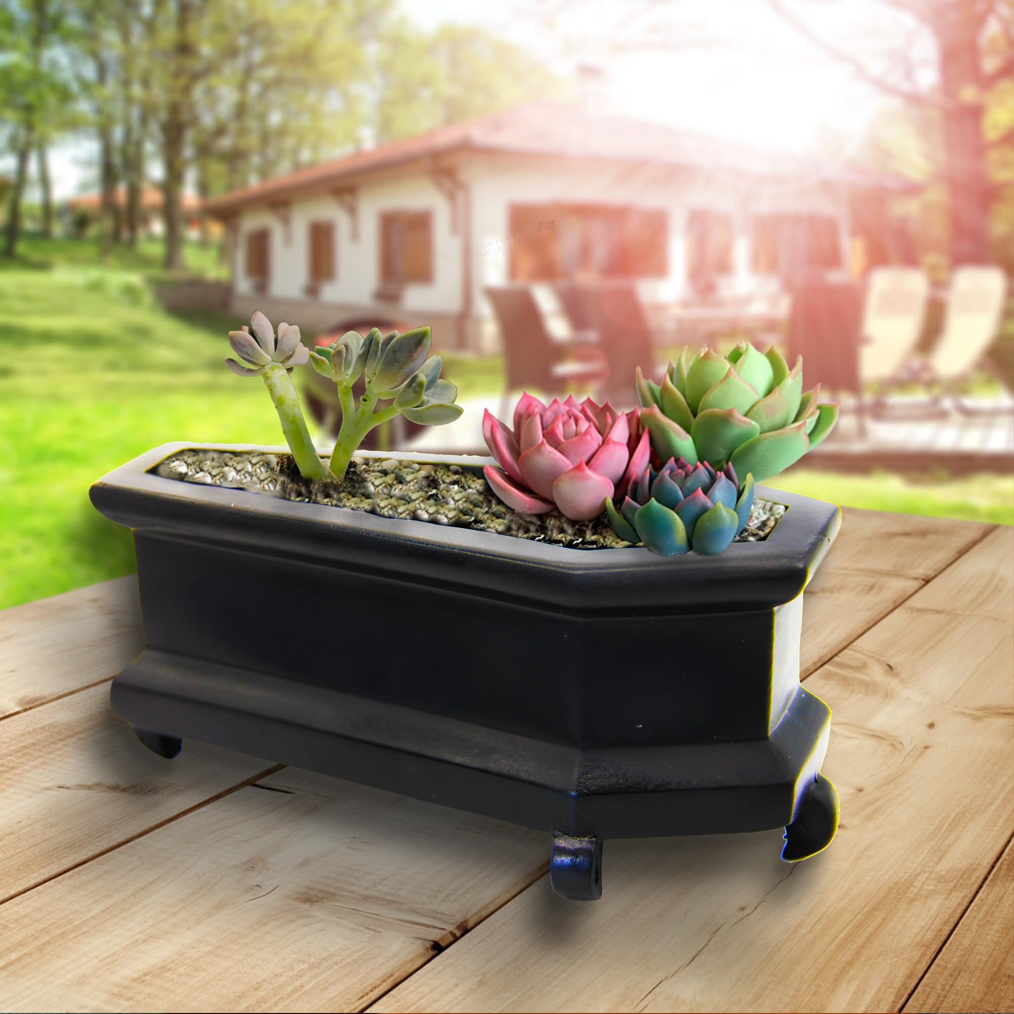 Amazon.com : Poranlem Mini Coffin Planter Outdoor Succulent Plant Pot  Indoor Resin Small Cute Flower Pot with Drainage Holes Desk Decor Goth  Halloween : Patio, Lawn & Garden