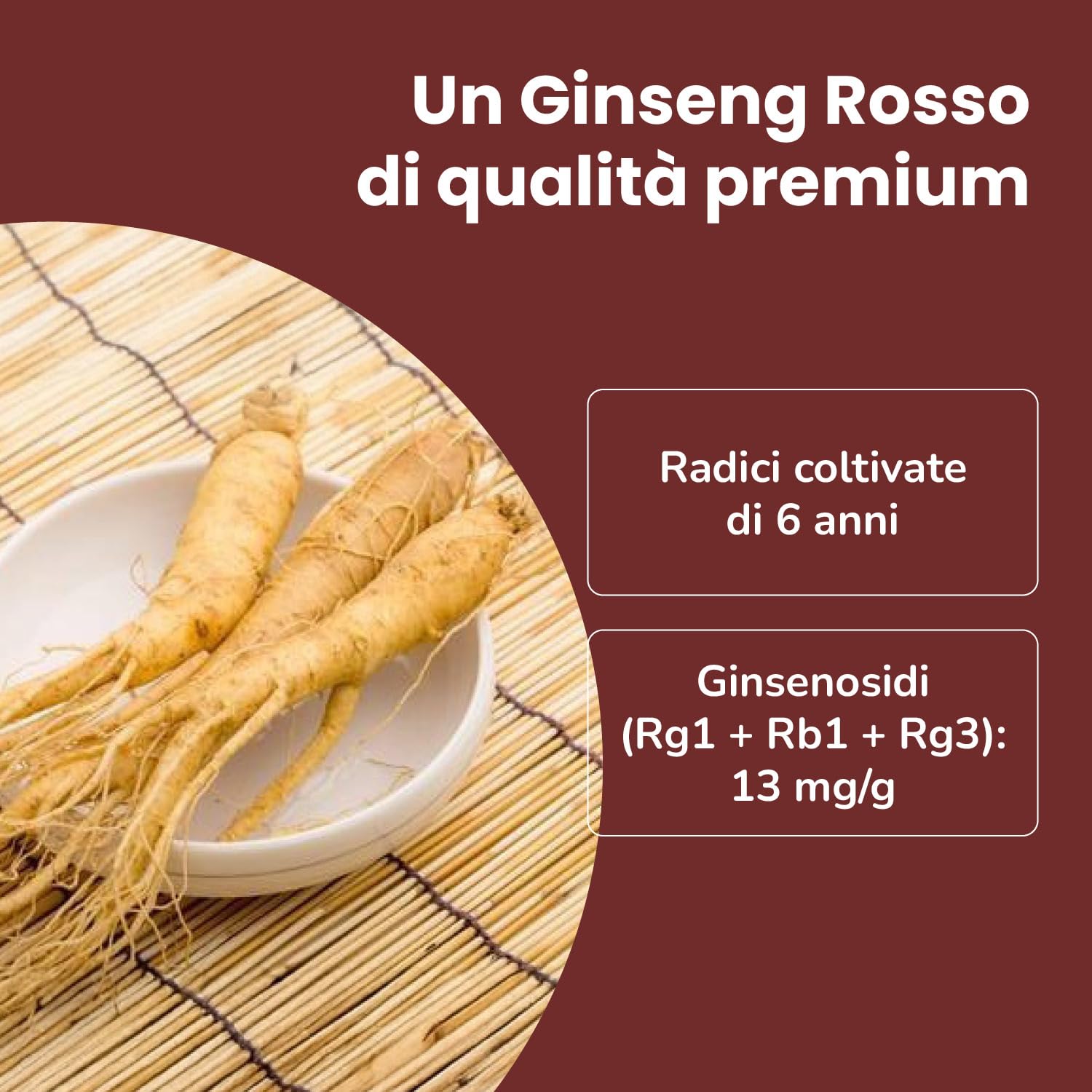 SAMSIDAE - Estratto Gold di Ginseng Rosso Coreano, Massima Concentrazione in Ginsenósidi 13 mg/g, Radici di 6 Anni, Qualità Superiore, Trattamento di 45 Giorni, 50g