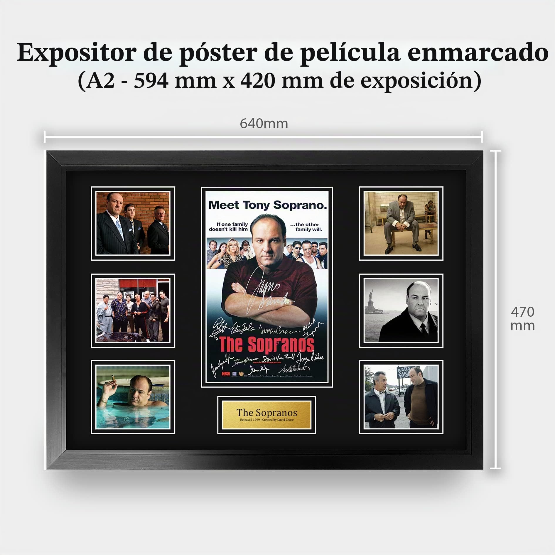 HWC Trading The Sopranos Los Regalos Imprimieron La Exhibición Firmada Del Montaje De La Foto De La Presentación Del Autógrafo Para Los Fans De La Demostración De Serie De Televisión - A2 Enmarcado