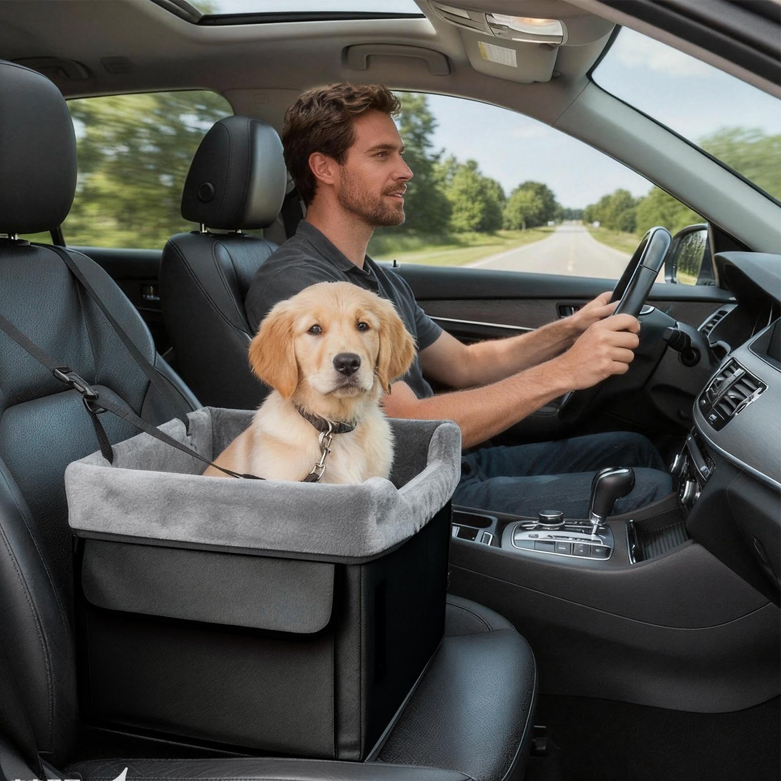 Asiento de Coche para Perros Cama Lavable De Peluche Para Cachorros | Cama Canina De Coche Con Bolsillos De Almacenamiento Para Mascotas Hasta 11 Kg En Coche Ajustable Varias Posiciones