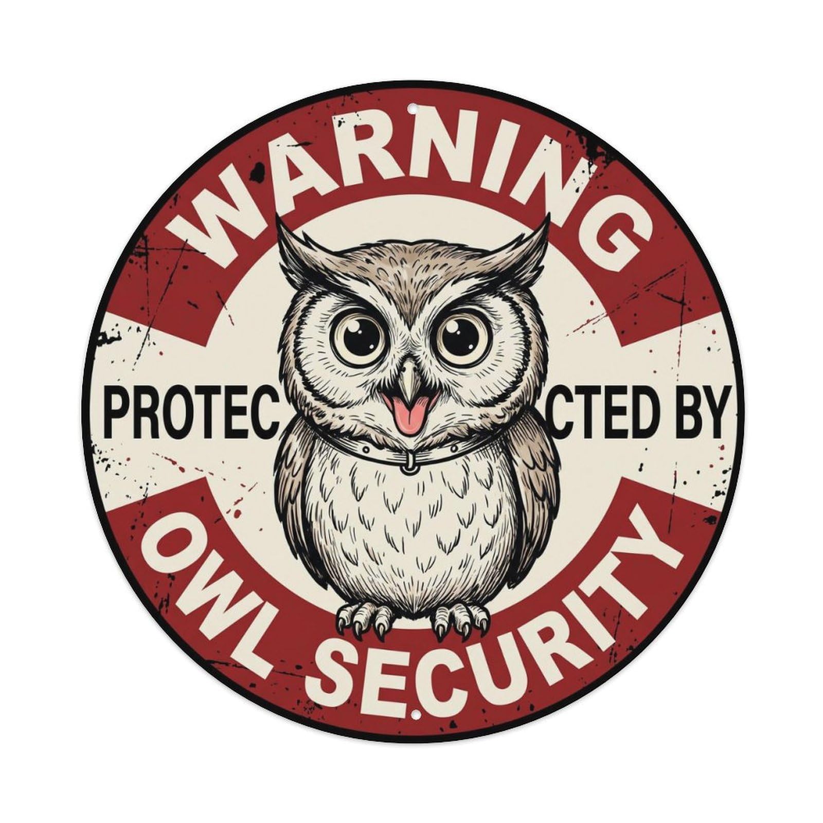 Tgrcjimh Style Metal Tin Sign Warning Protected By Owl Security Vintage