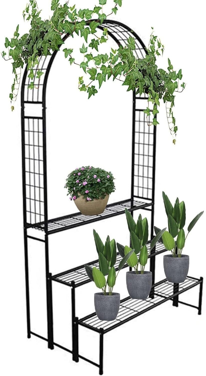 Arc de jardin en métal noir pour roses et plantes grimpantes d'extérieur