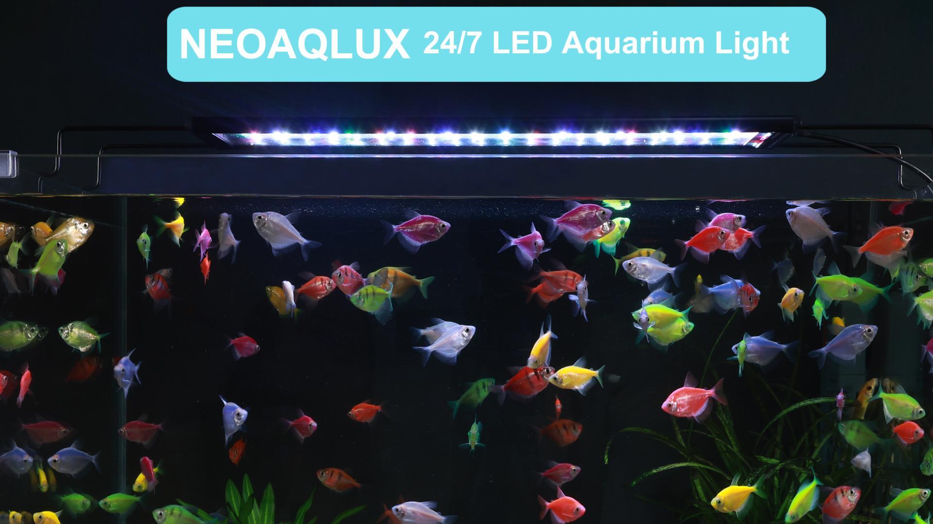 Image of 24 /7 LED Aquarium Light for 18-24 Inch Plant & Fish Tank, 12-Color & Gradient & Full Spectrum with Auto On /Off, Brightness, Sunrise-Daylight-Moonlight, Extendable Brackets for Freshwater IP68