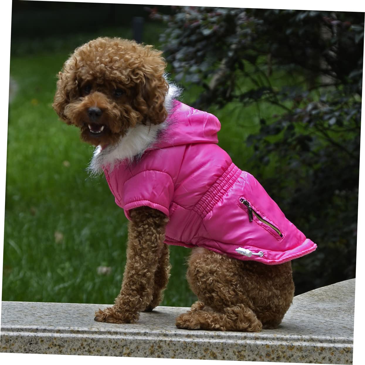 INOOMP 2 Pezzi Cappotto per Cani per Il Freddo Giacca per Cani Abbigliamento per Animali Domestici Mantieni Caldo Abbigliamento con Cerniera Costume per Animali Domestici