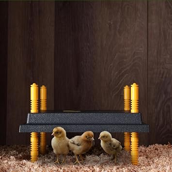 Premier 1 Chick Brooder Heating Plate 12x12, Warms Up to 20 Chicks