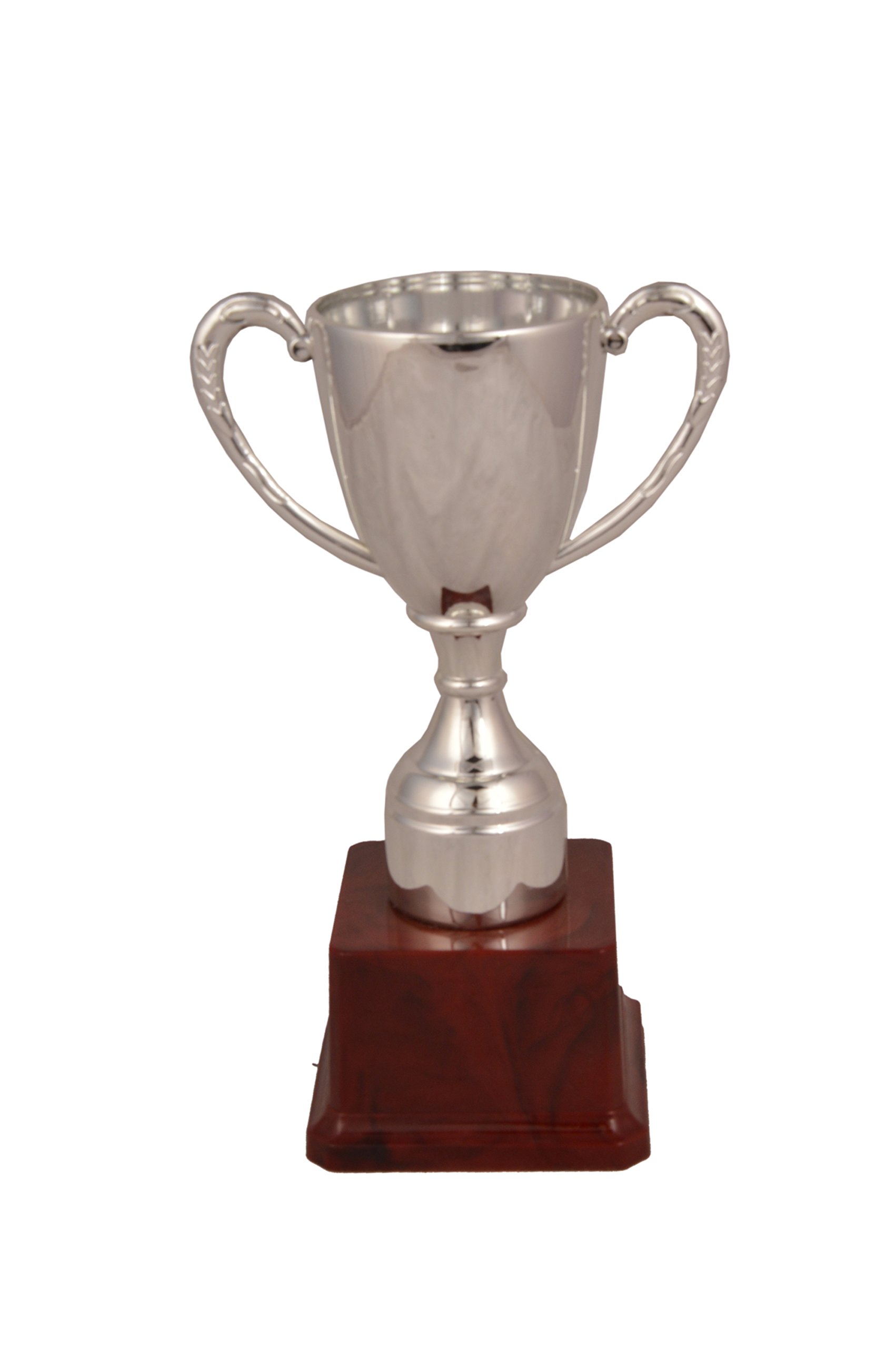 TROPHY JUNCTION Metallic-Fiber Trophy Cup (Silver, 21.5 cm) (B07DMJ886B) Amazon Price History, Amazon Price Tracker