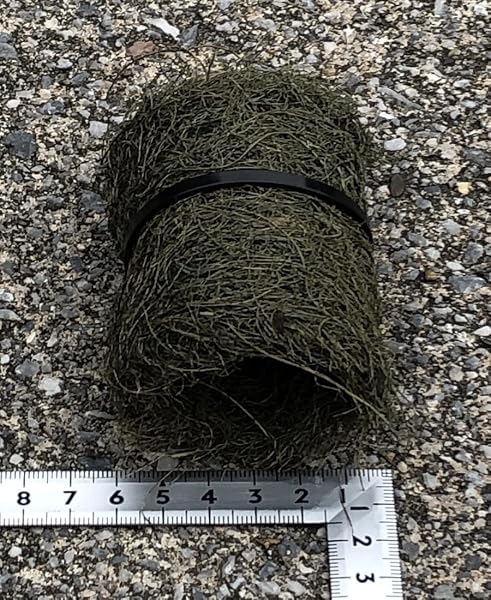 メダカの産卵床 (10個) メダカ めだか 産卵床 メダカ産卵床 めだか産卵床 めだかの産卵床 - 3