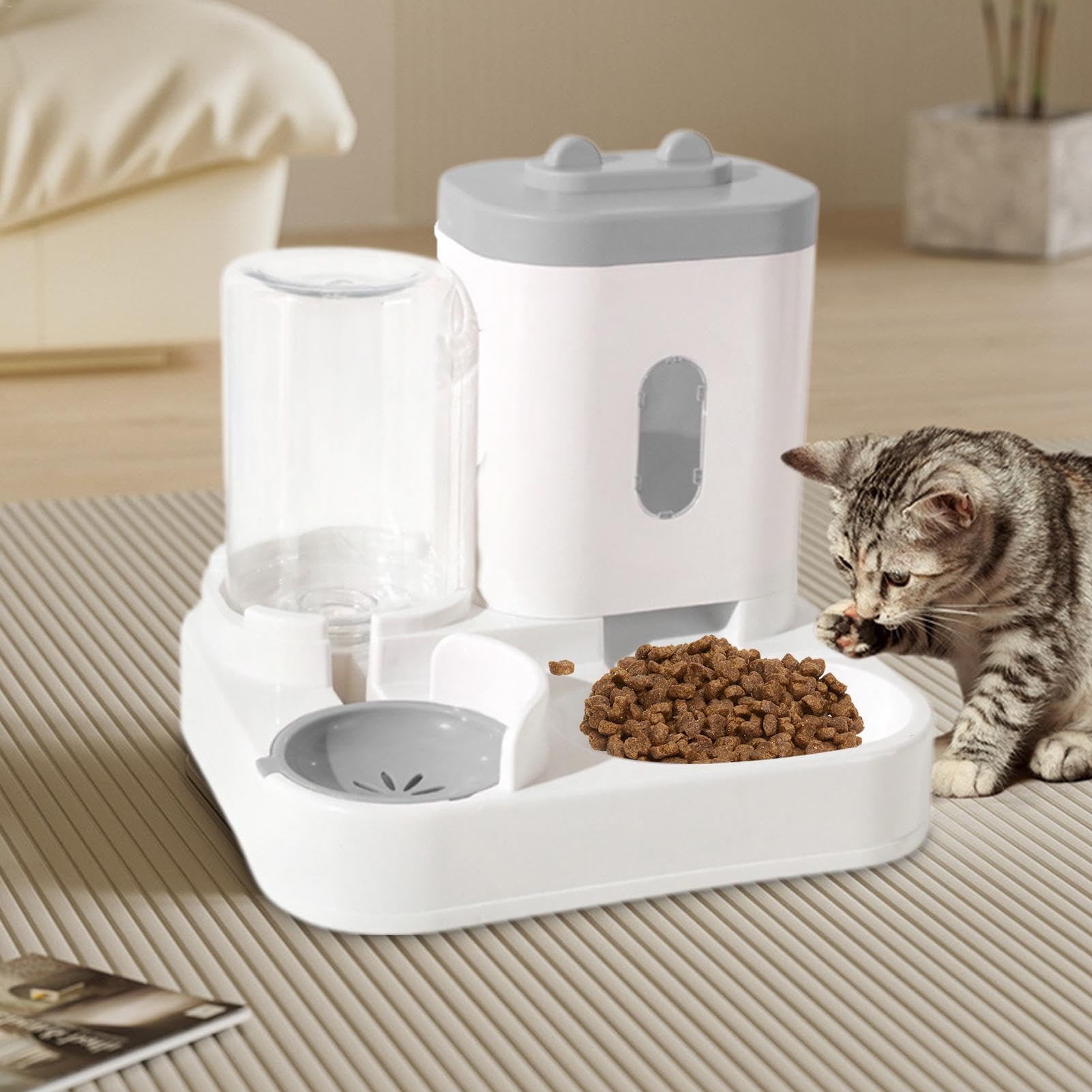 Bebedero automático | Comedero for Gatos