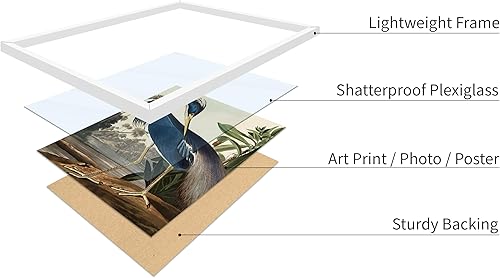 Miniatura 163 de Poster Master Póster vintage de flamenco americano, estampado retro de flamenco rosa, arte de pájaro, regalo para él, ella, amante de los animales,