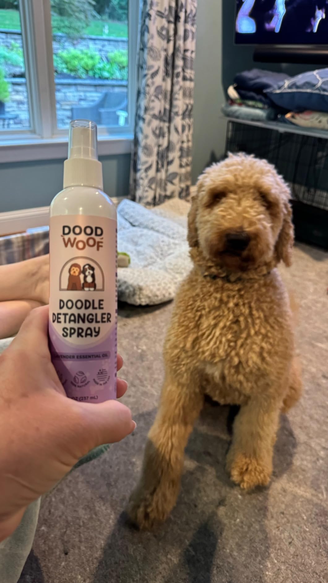 Doodle Detangler Spray