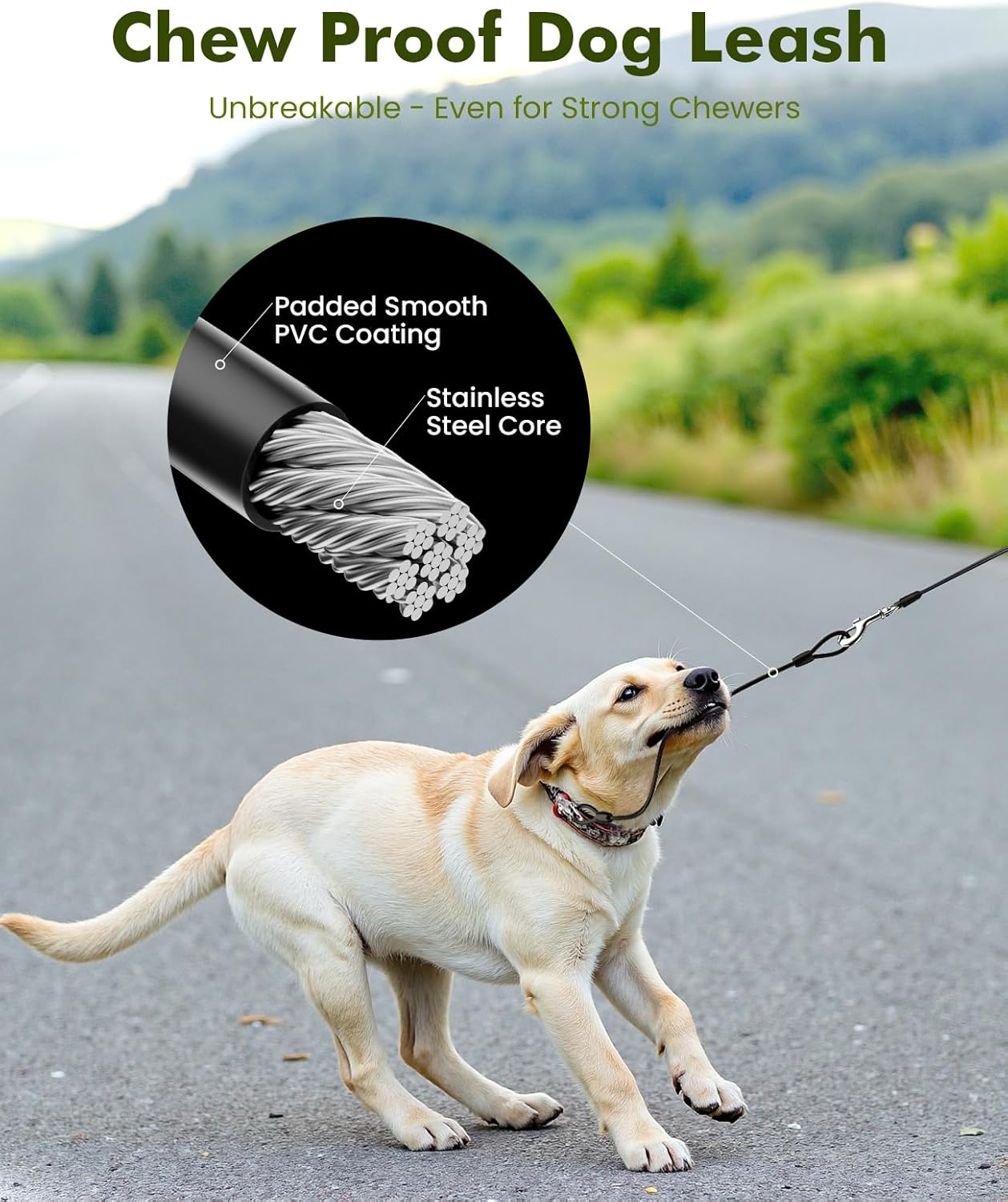 Pecute 8 Metre Extendable Dog Leash, Lead for 15-50 kg, with Anti-Bite Rope 46 cm, Hygienic Bags and Bag Holder | 360° Anti-Tangle | Dog Walking, Training, Rainy Days, Green 4