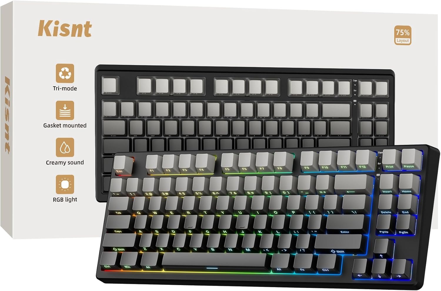 Wireless Mechanical Keyboard 75% Gasket Mounted