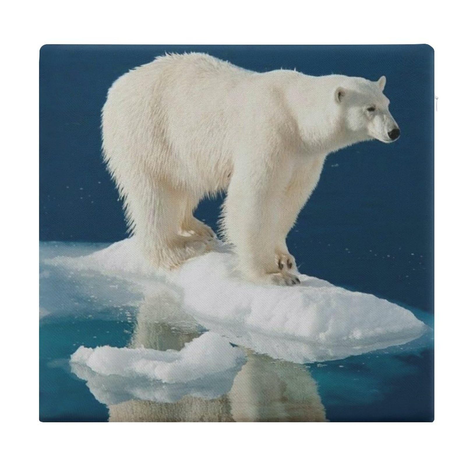 Cojín de espuma viscoelástica Polar Bear contra el dolor de espalda en sillas de oficina