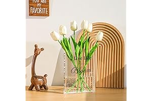 Fixwal Acrylic Book Vase: A Transparent Canvas for Floral Art