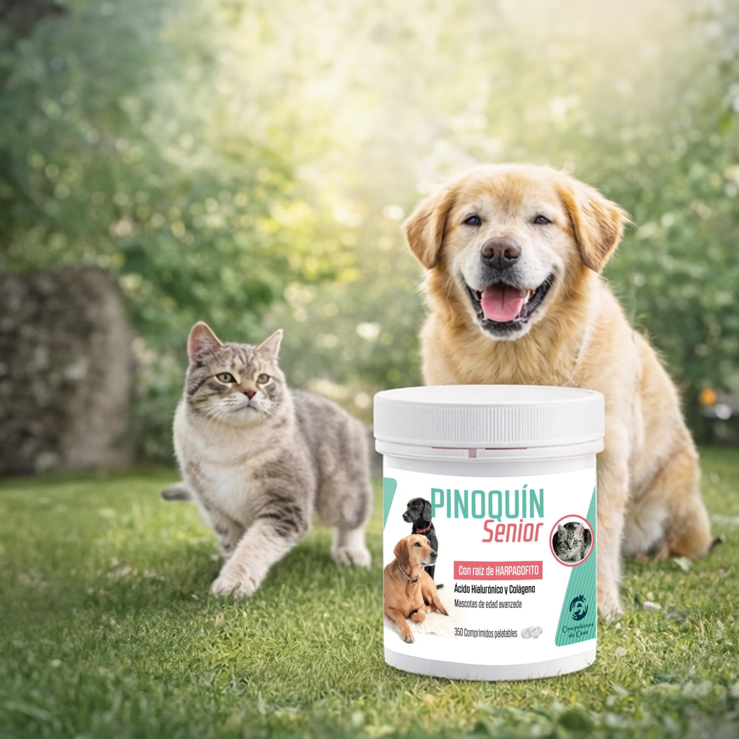 Laboratorios Pino Pinoquin Senior Condroprotector para Perros y Gatos Senior con Glucosamina, Condroitina, MSM, Harpagofito, Colágeno y Ácido Hialurónico, 350 Comprimidos