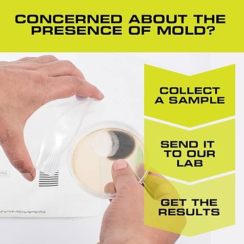 Detector de moldes de bricolaje para el hogar - Kit completo de prueba de moho de aire y superficie con análisis de expertos y tarifas de
