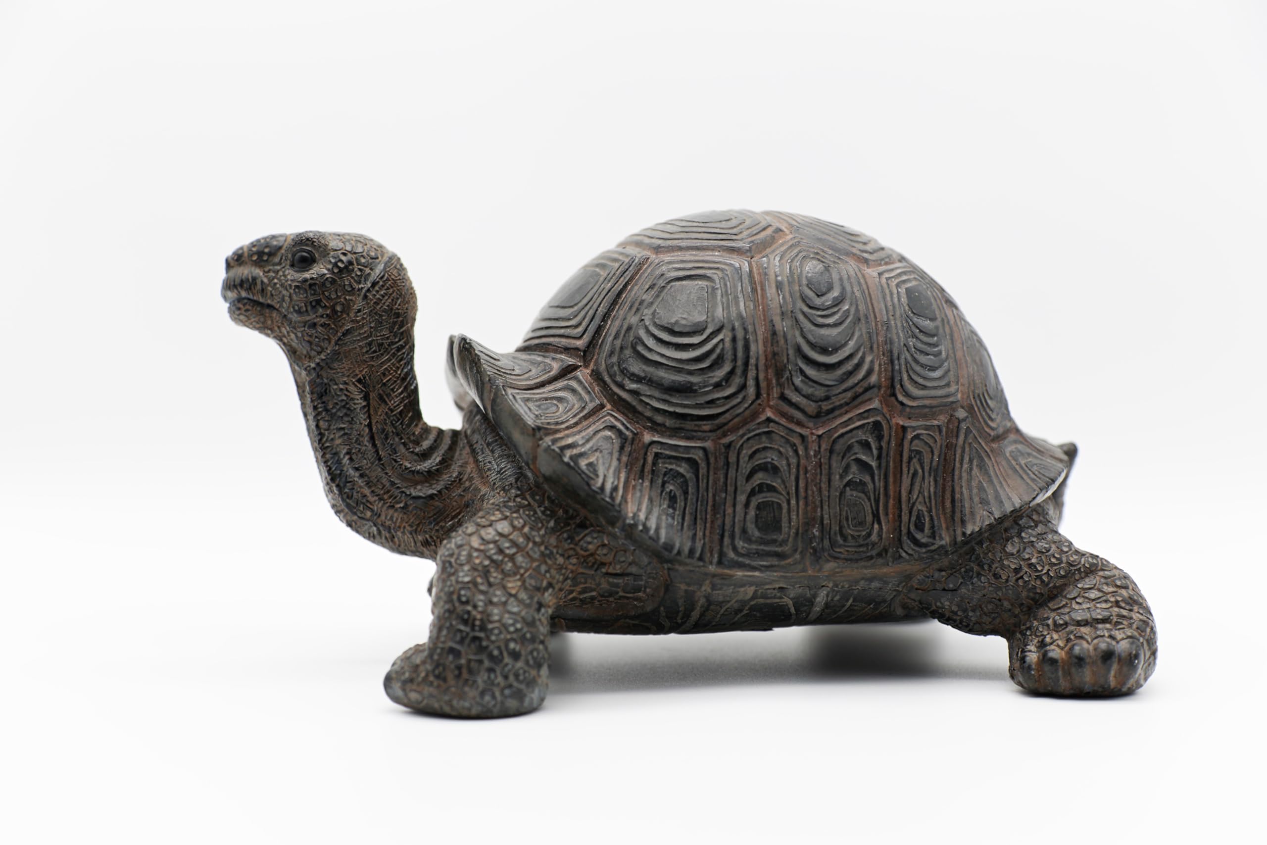 STEINFIGURENWELT GIEBEN Design Dekofigur Schildkröte XXL 24x48cm aus Poly Wohnzimmer Tierfigur Garten Deko Modern Gartendeko Gartenfigur (Schildkröte XXL)