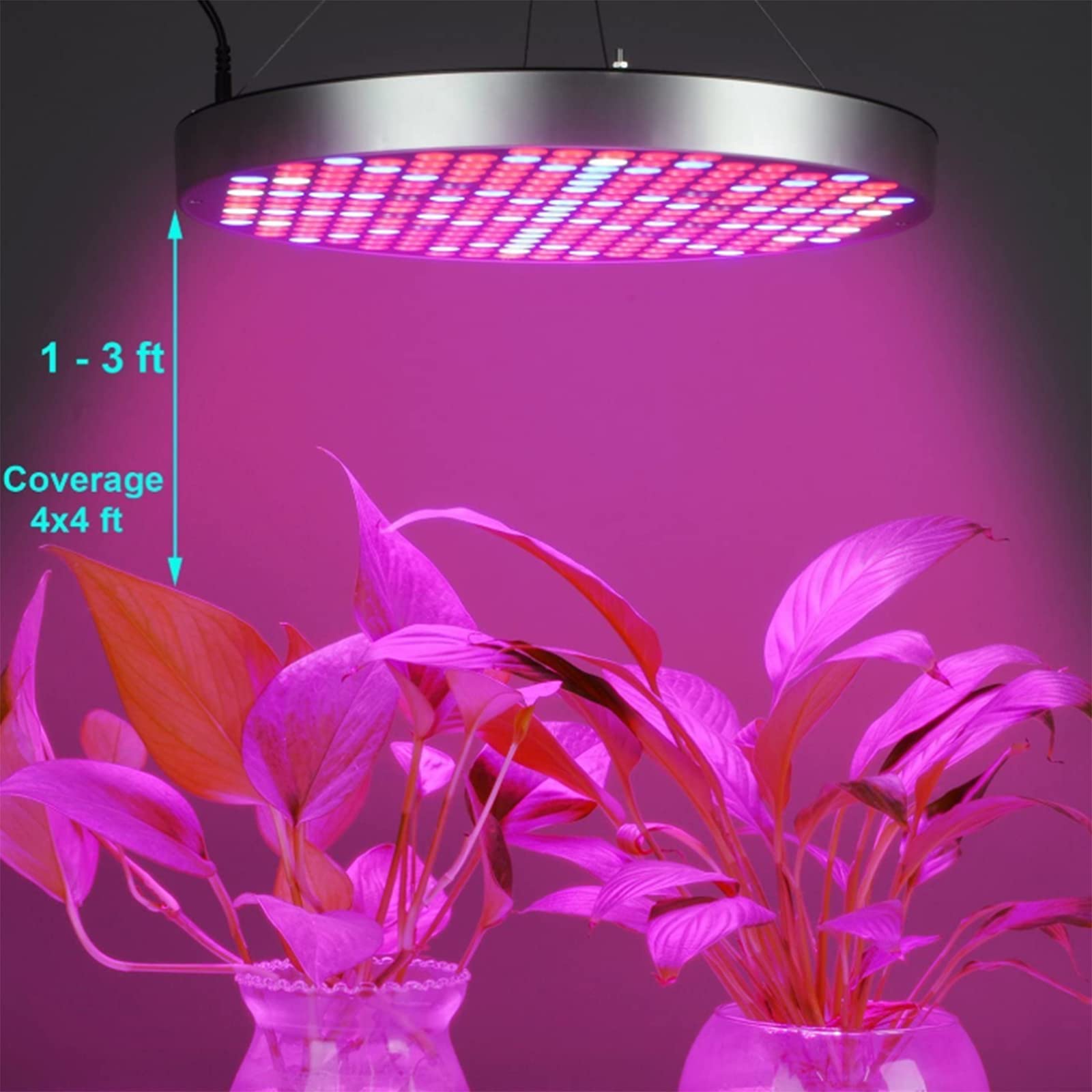 Oświetlenie LED do uprawy roślin, 250 diod LED Rośliny domowe Rosnące żarówki z zestawem do zawieszania roślin hydroponicznych w kolorze czerwonym i niebieskim Spectrum
