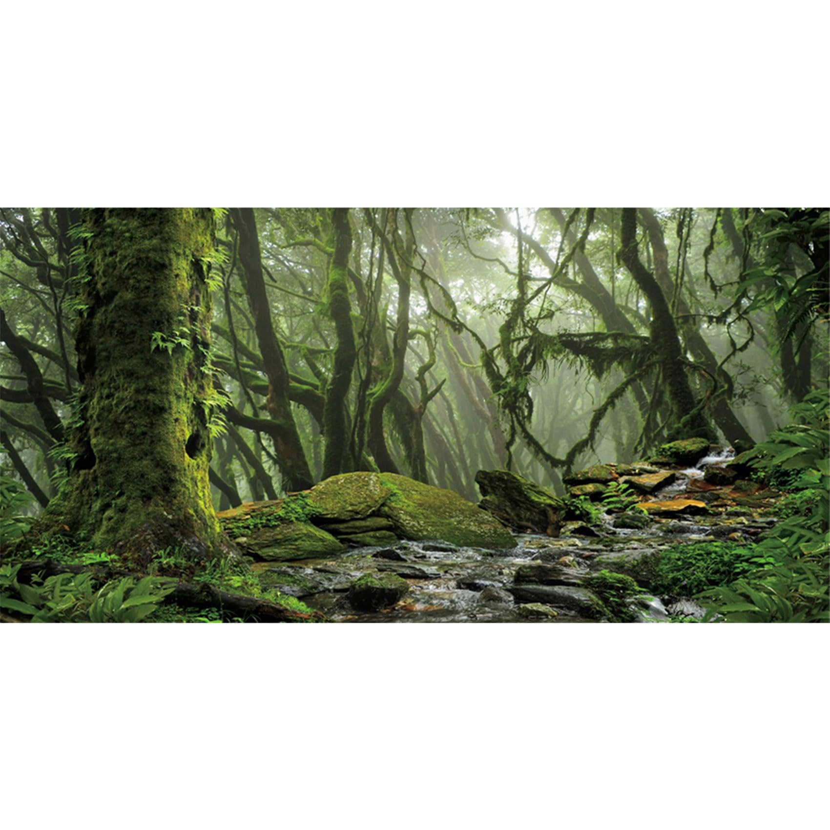 MIRRORANG 120x46cm Foggy Forest Terrarium Background Stream Green Huge Tree Reptile Habitat Background Tropical Rainforest Aquarium Background Vinyl — image 1