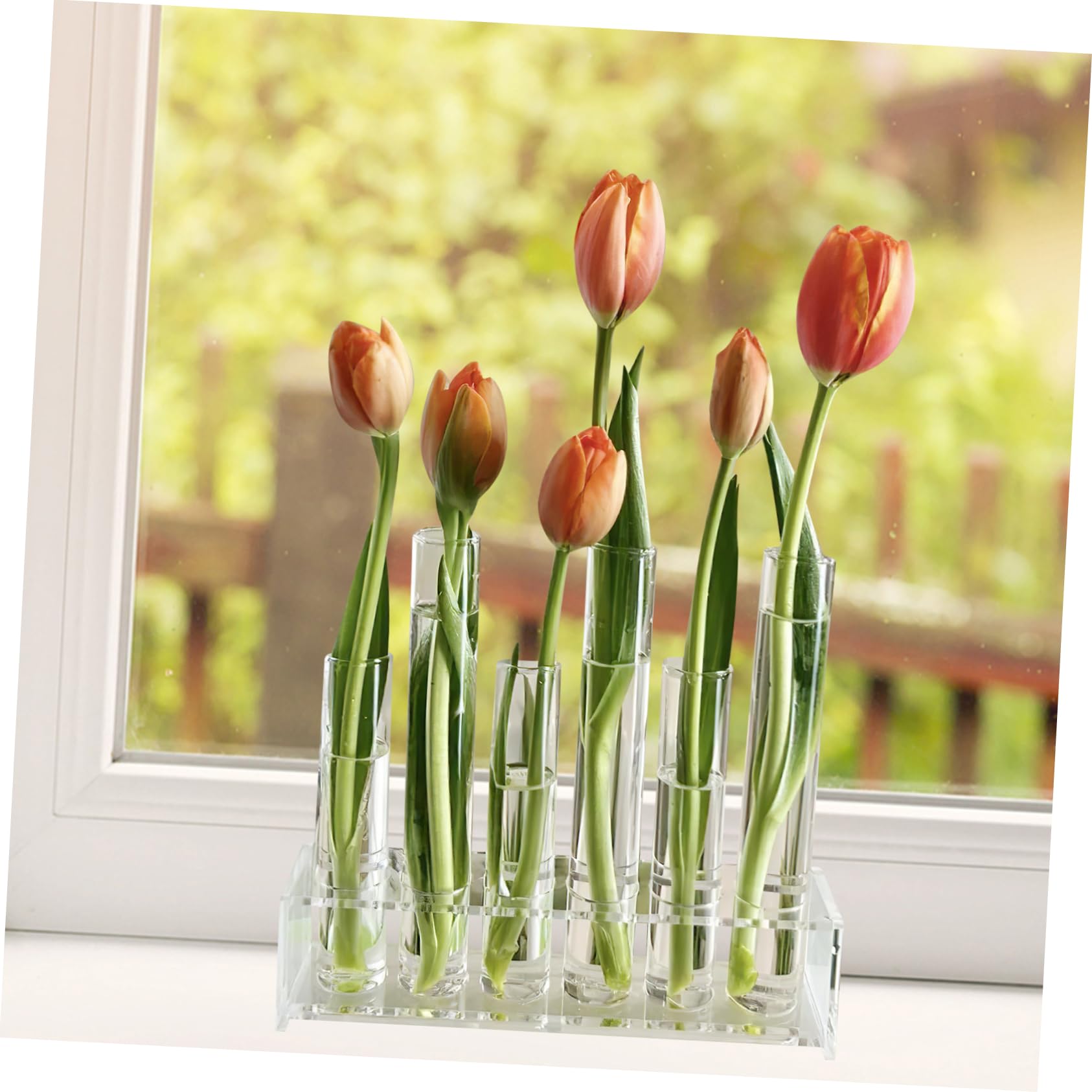 POPETPOP Tube à Essai Verre Transparent pour Plantes Hydroponiques pour Décors De Bureau Et Stations De Propagation Vase Décoratif