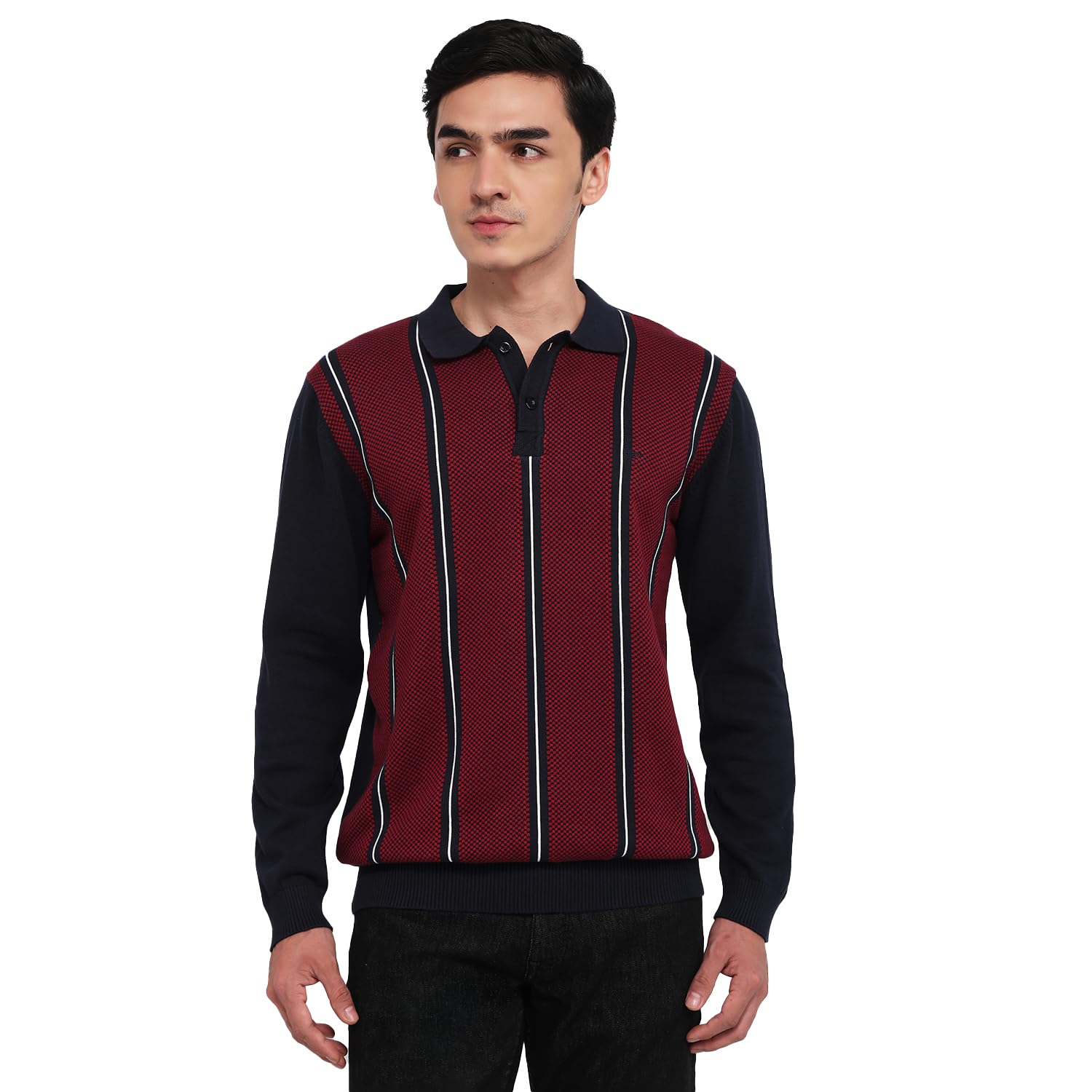 colorplus Men Regular Fit Jacquard Pattern Pure Cotton Full Sleeve V Neck Casual Sweater Navy-picture-48