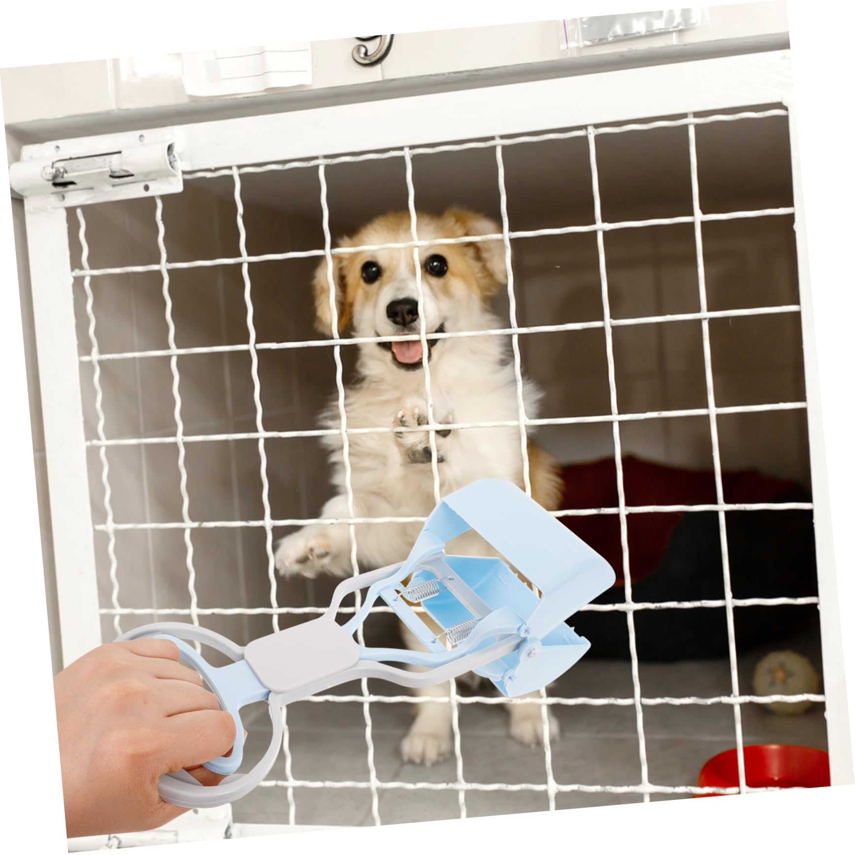 Sosoport 5pezzi Scooper Riutilizzabile per Feci di Animali Domestici Strumento Pratico e Resistente Manico per Pulizia Facile Giardino e Passeggiate Accessorio per Cani e Gatti