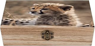 Baby Cheetah Storage Boxes Jewelry Storage Box with Lock Large Capacity Vintage Decorative Case Keepsake Organizer 7.9 X3. 7 X 2.3 Inch for Photos Trinkets Crafts