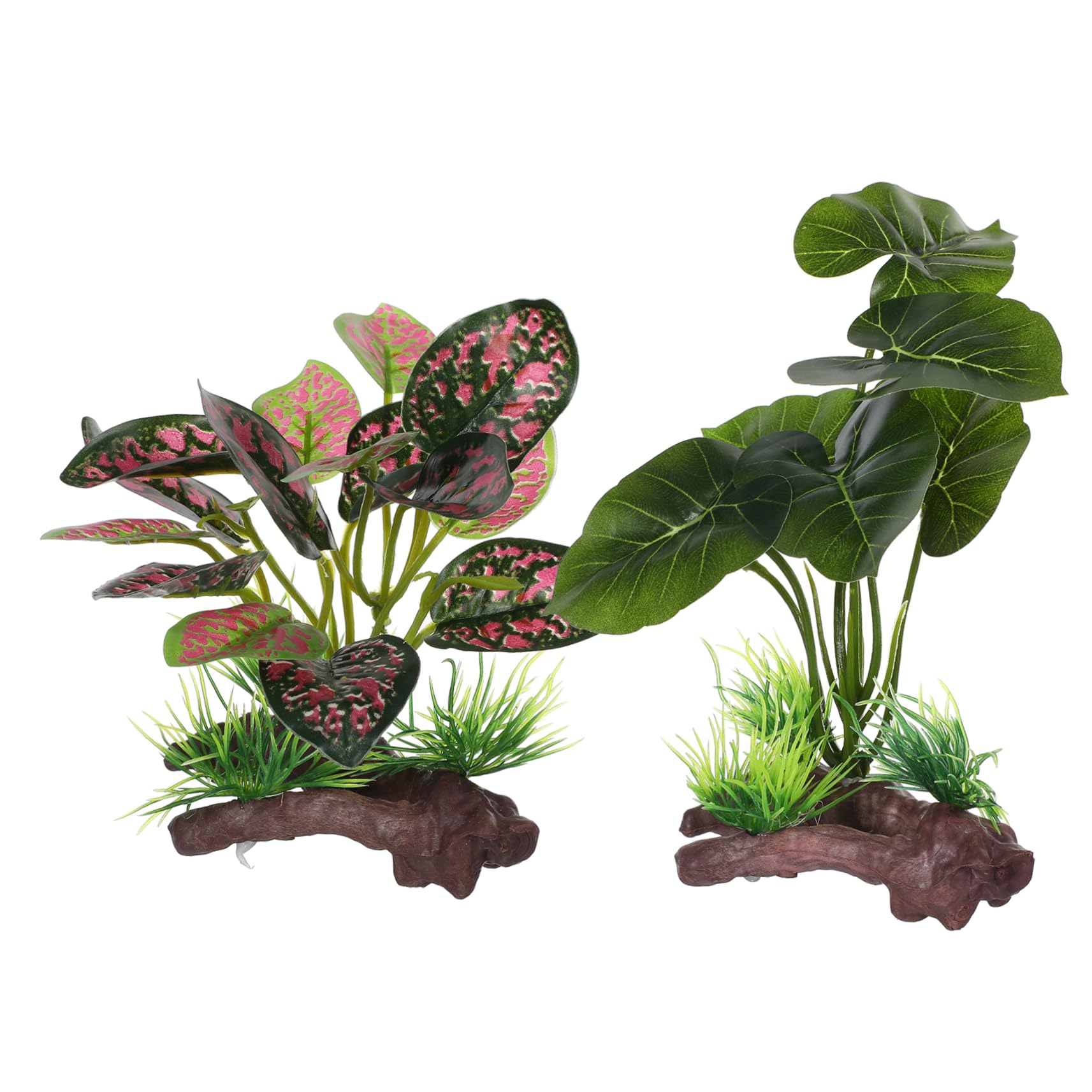 Woyrise Reptilienpflanzen, Sukkulenten, Künstliche Wüstenpflanze Für, image size:1713x1713