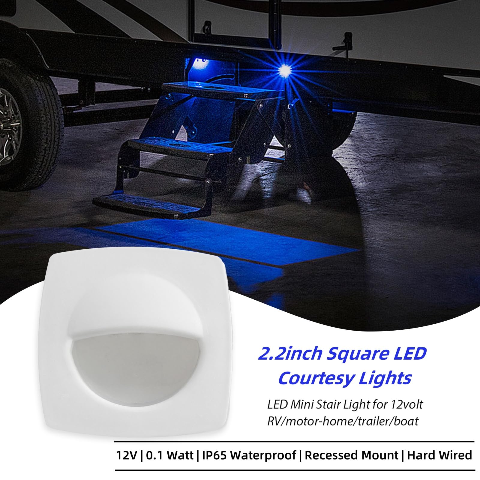 Petit Roulet「 City Lights 」 6