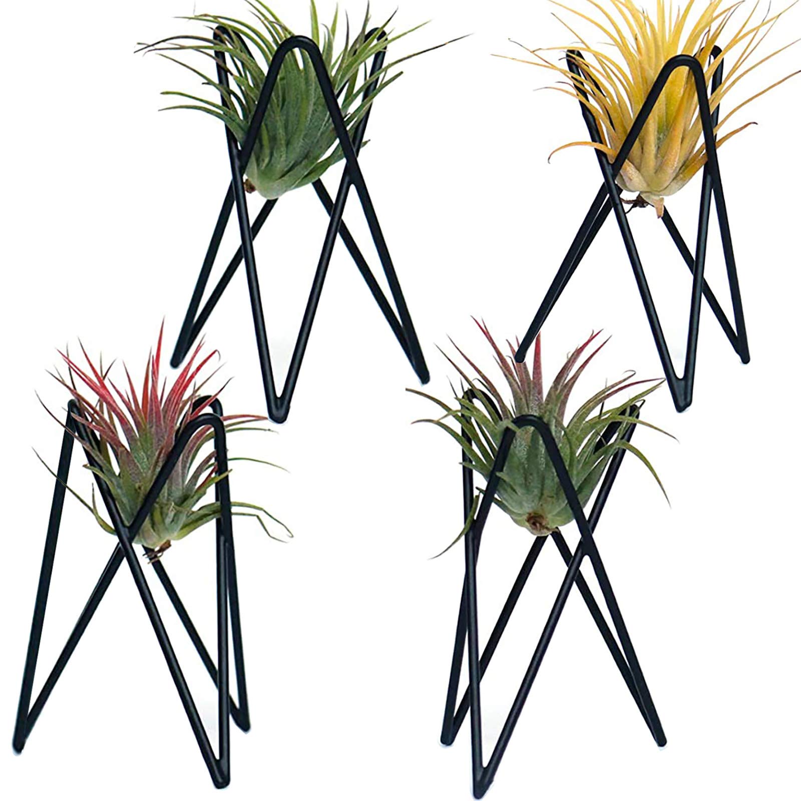 Pack of 4 Air Plant Holder Tillandsia Base, Modern Geometric Metal Air Plant Stand Airplant Display Rack