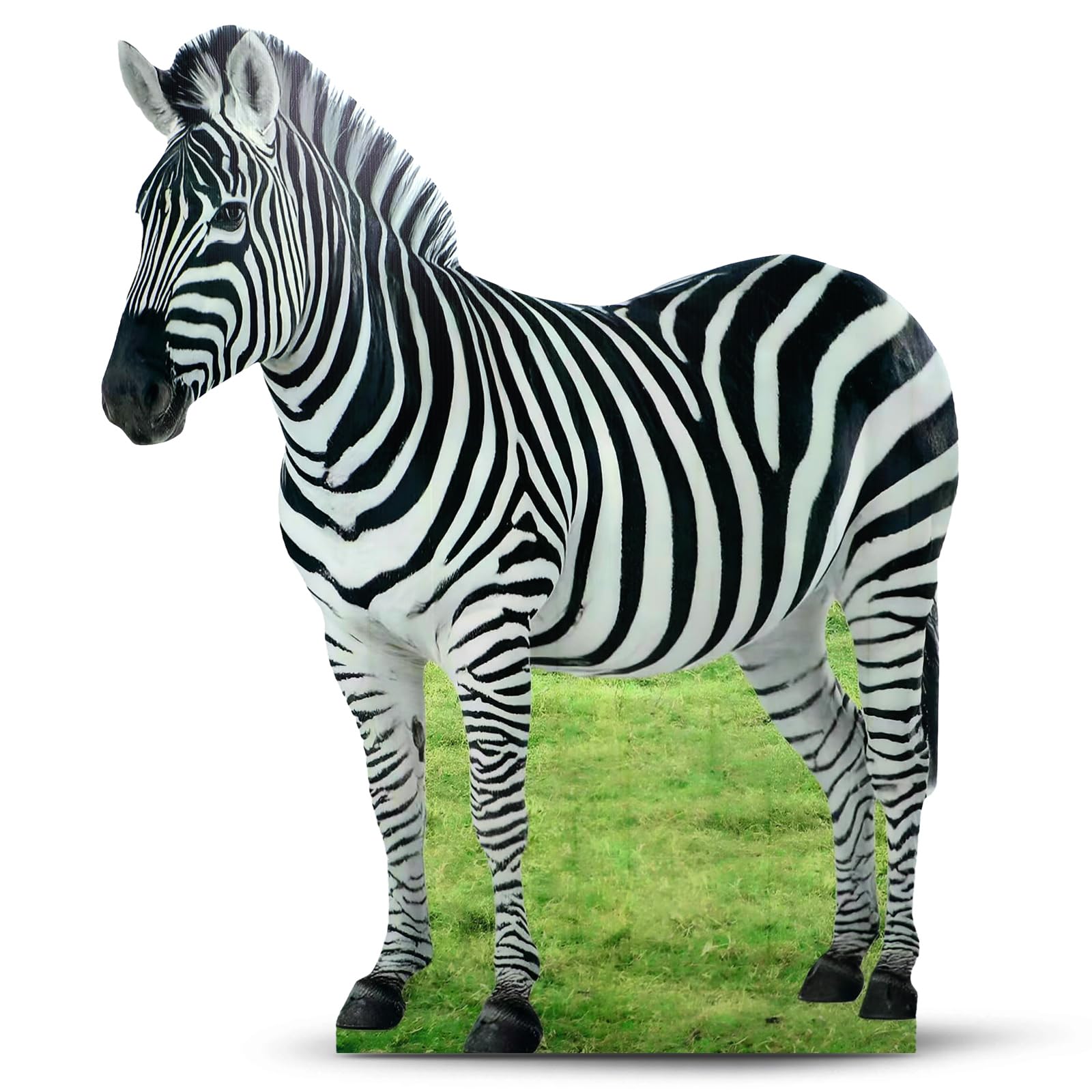 Photo 1 of Geelin 5ft Zebra Cardboard Cutout Standee