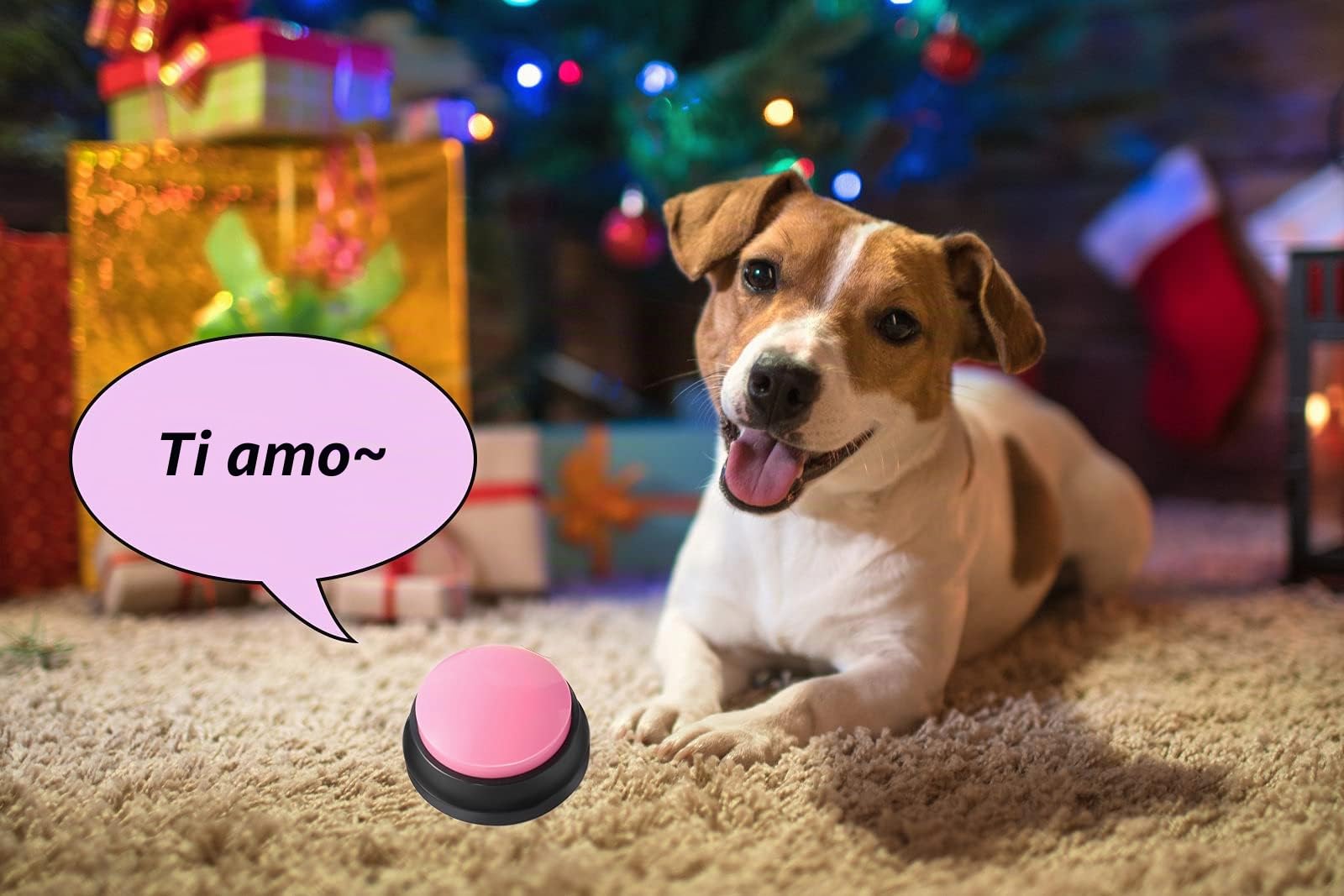 Pulsanti per cani per addestramento a parlare, per comunicazione, addestramento di animali domestici, risposta, cicalino, registrazione e riproduzione in 30 secondi, regalo divertente per scuola,