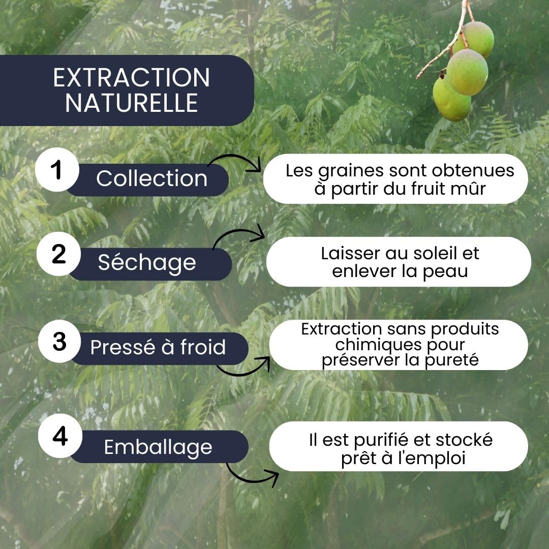 PLANTAWA Huile de Neem 500ml | Ingrédient Naturel à Diluer | Pressée à Froid | Usage Polyvalent | Sans Additifs ni Parfum | Pour Formulations Domestiques Personnalisées