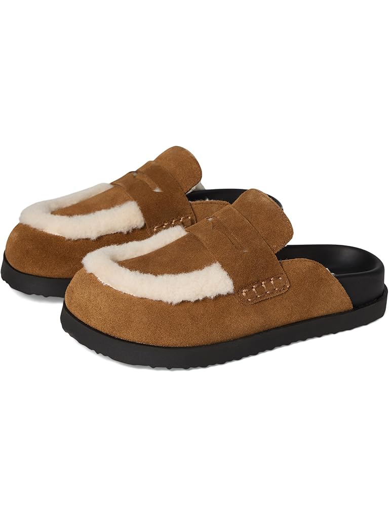 Brown Steve Madden Tomlin